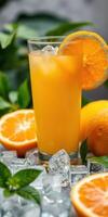 Bright and refreshing citrus drink served over ice with orange slices and fresh mint leaves photo