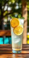 Refreshing lemonade with fresh lemon slices and mint leaves served on a sunny day in a garden setting photo