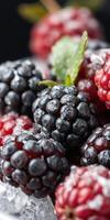 Fresh blackberries and raspberries glisten with moisture, showcasing their vibrant colors and texture in a close-up view photo