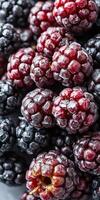 Freshly picked blackberries and raspberries set against a dark background during summer harvest season photo