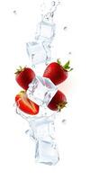 Fresh strawberries and ice cubes splash in a refreshing drink preparation against a white background photo