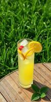 Refreshing citrus drink with lemon slices and mint resting on a wooden table in a lush green garden photo
