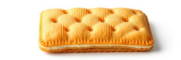 Sweet vanilla cream cookie with a golden brown exterior and ridged texture displayed on a white background photo