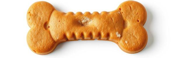 Dog treat shaped like a bone, ready for a furry friend to enjoy at home or during outdoor playtime photo