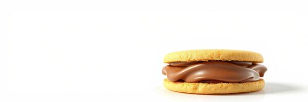 Creamy chocolate sandwich cookie with golden vanilla wafers and smooth filling on a plain background photo