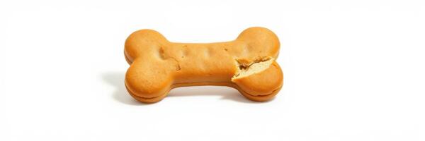 Dog treat shaped like a bone on a clean white background ready for a pet snack time photo