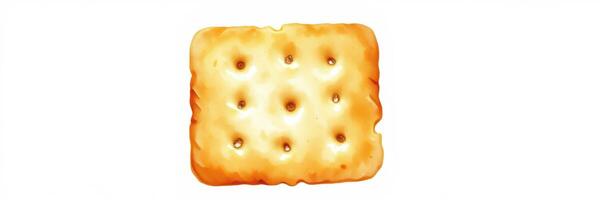 Crispy rectangular cracker with distinctive holes on a white background photo