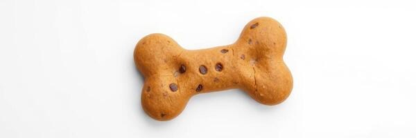 Dog treat shaped like a bone made from brown biscuit with chocolate chips on a white background for pet enjoyment photo