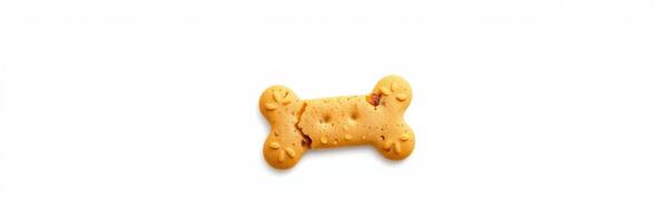 Dog biscuit shaped like a bone on a white background in a simple presentation photo