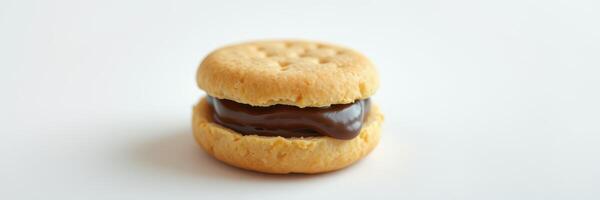 Delicious chocolate-filled sandwich cookie placed on a clean surface photo