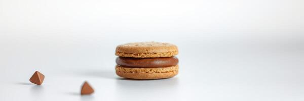Unique chocolate-filled cookie surrounded by three small pieces on a clean white background photo