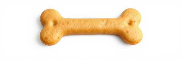Dog treat shaped like a bone on a white background suitable for pets and dog owners photo