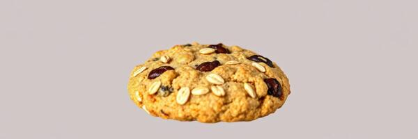 Freshly baked oatmeal chocolate chip cookie placed against a plain background showcasing its texture and ingredients photo