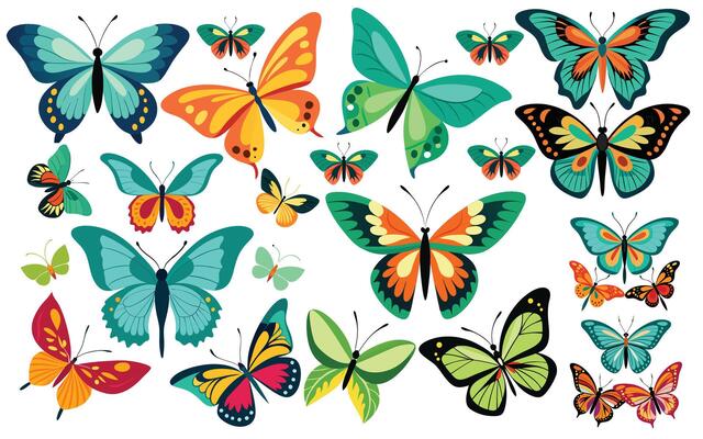 Vibrant Butterfly Collection Against a White Background