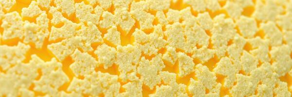Close-up view of textured yellow surface revealing intricate patterns and natural beauty photo