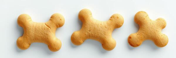 Unique bones-shaped cookies arranged in a row on a plain backdrop for pet lovers and dog enthusiasts photo
