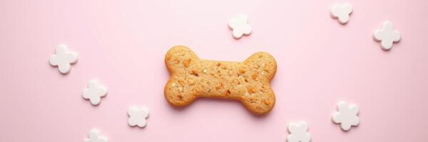 Delicious dog biscuit surrounded by white treats on a pink background photo