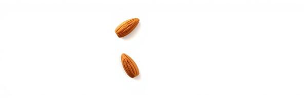 Two almonds placed on a plain white background showcasing their natural shape and texture for culinary and nutritional purposes photo