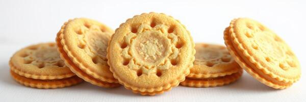 Delicious round cookies arranged on a white background with intricate patterns on their surfaces photo