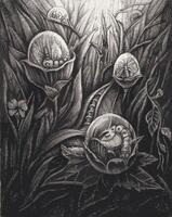 Surreal art encased in growth hand drawing and make graphic . vector
