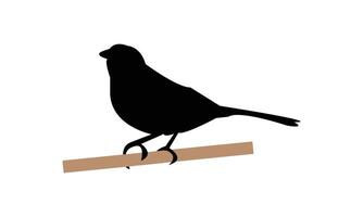 Towhee Bird Silhouette Design vector