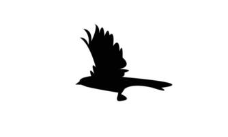 Flying Towhee Bird Silhouette Design vector