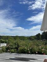 Beautiful Cape Cod photo