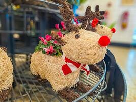 funny straw deer, New Year's decor of greenery and flowers on the back photo