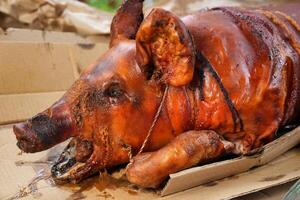 a pig that is cooked and sitting in a box photo
