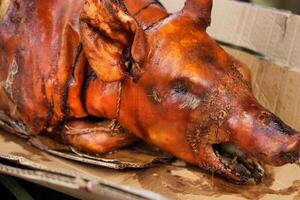 a pig is sitting in a box with its head on the ground photo