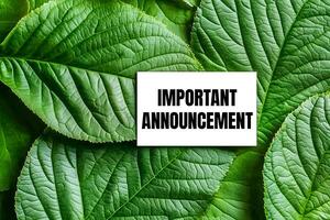 Important announcement message written on white paper card with green leaf background. Conceptual important announcement symbol. photo
