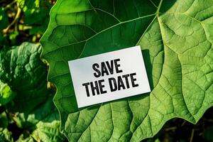 Save the date message written on white paper card with green leaf background. Conceptual save the date symbol. photo