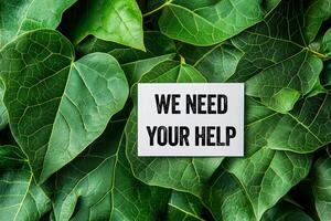 We need your help message written on white paper card with green leaf background. Conceptual we need your help symbol. photo
