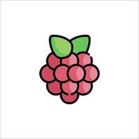 A raspberry is shown on a white background vector