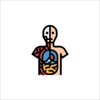 The human body is shown in a colorful, flat line icon vector