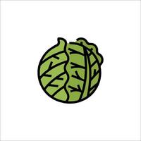 A cabbage icon with a green leaf on it vector