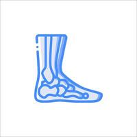 A blue line drawing of a foot with bones vector