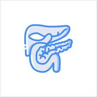 The liver and pancreas are shown in a line icon vector
