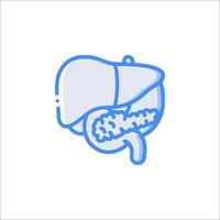 Liver icon, liver line icon, liver line icon, liver line icon, liver line icon vector