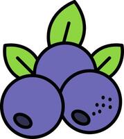 Blueberry Line Filled Icon vector