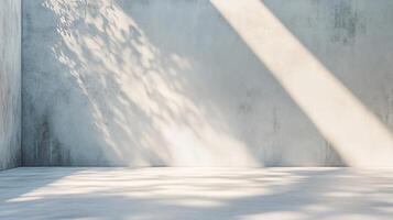White wall with a shadow of a tree on it. The wall is bare and empty. The shadow of the tree is the only thing that adds some life to the space photo