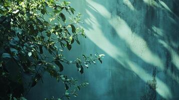 Tree with leaves is in the foreground and a wall is in the background. The wall is blue and the tree is green photo