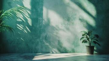 Plant is sitting in a pot in front of a wall. The wall is green and has a shadow on it. The plant is the only thing in the room, and it is the only thing that is not green photo