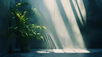 Potted plant sits in a room with a window, casting a shadow on the wall. The room is empty and the plant is the only object in the space photo