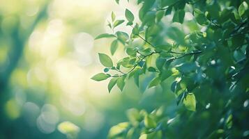 Leafy tree branch with a bright green color. The leaves are full and healthy, and the sunlight is shining on them, creating a beautiful and serene atmosphere photo
