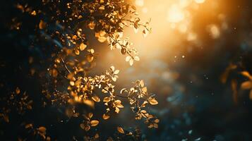 Tree with leaves that are yellow and brown. The leaves are scattered throughout the image. The image has a warm and peaceful feeling photo
