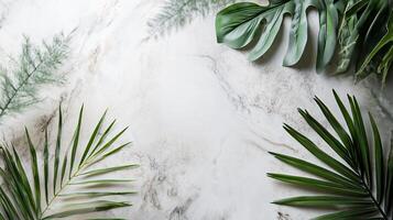 White background with green leaves and a leafy green plant. The leaves are arranged in a way that they are overlapping each other photo