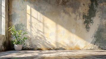 Plant is sitting in a white pot in front of a wall with a window. The room is empty and has a lot of sunlight coming in through the window photo