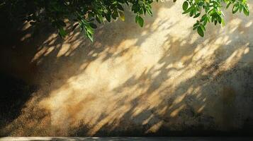 Wall with a tree in the background and a shadow on the wall. The wall is made of concrete and has a rough texture. The tree is tall and has green leaves photo