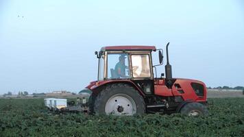 pesticida pulverizador trator trabalhando em uma ampla verde campo. Segue em a lado uma trator pulverização trigo campo contra doenças. agricultor pulverização vegetal Campos. video